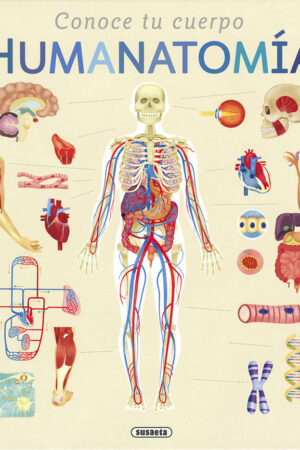 HUMANATOMIA                   VIENE DE S2072
