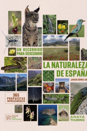 Recorrido para descubrir