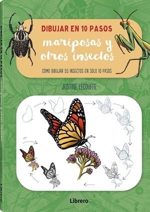 DIBUJAR MARIPOSAS Y OTROS INSECTOS EN 10 PASOS