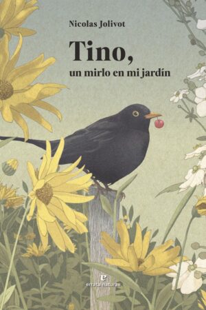 TINO UN MIRLO EN MI JARDIN