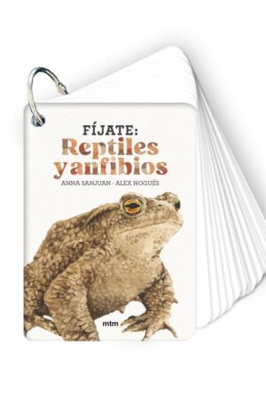 FÍJATE REPTILES Y ANFIBIOS