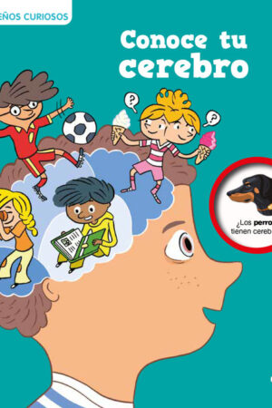 Pequeños curiosos  Conoce tu cerebro