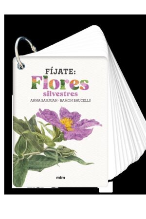 FÍJATE  FLORES SILVESTRES