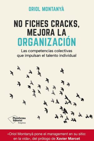 NO FICHES CRACKS, MEJORA LA ORGANIZACION