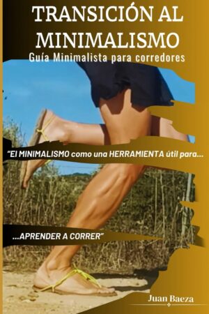 TRANSICIÓN AL MINIMALISMO
