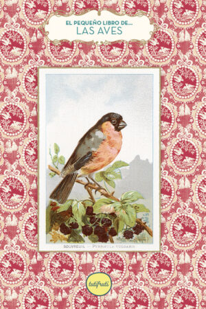 PEQUEÑO LIBRO DE LAS AVES,EL