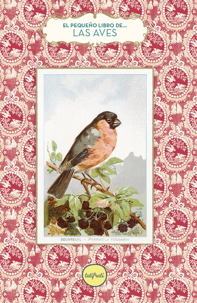PEQUEÑO LIBRO DE LAS AVES,EL