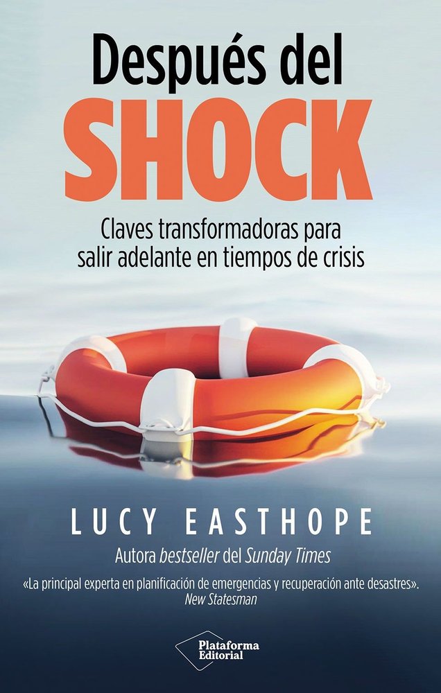 DESPUES DEL SHOCK