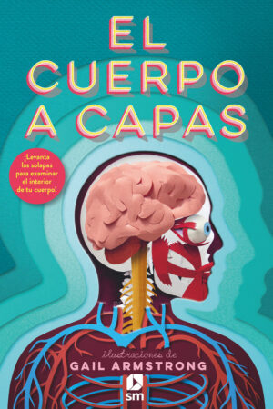 EL CUERPO A CAPAS