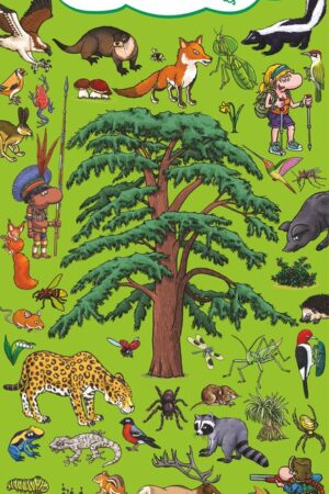 BYE.EN LOS BOSQUES Y SELVAS