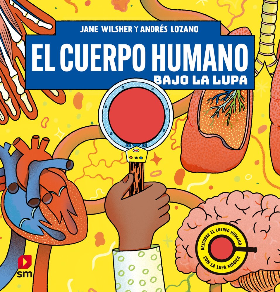 BLL.EL CUERPO HUMANO BAJO LA LUPA