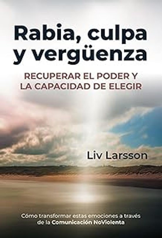 RABIA, CULPA Y VERGÜENZA