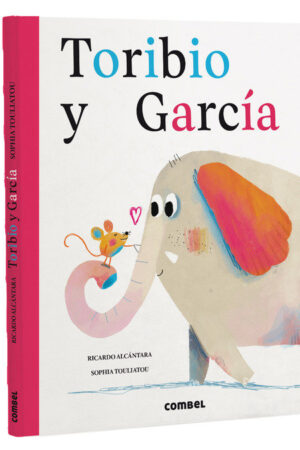 Toribio y García