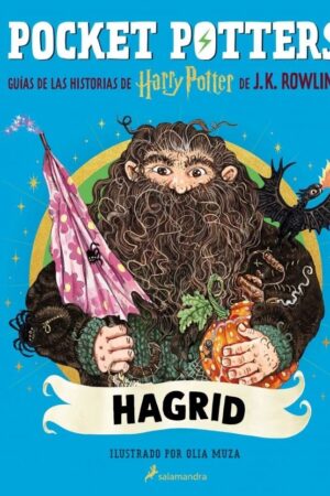 Pocket Potters - Hagrid