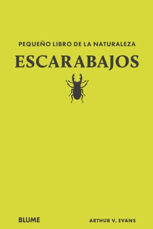 Pequeño libro de la naturaleza. Escarabajos