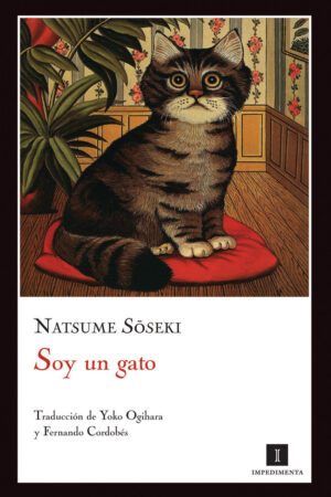 Soy un gato